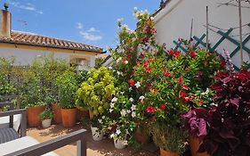 Apartamentos Los Descalzos Ángel With Private Terrace Free Parking